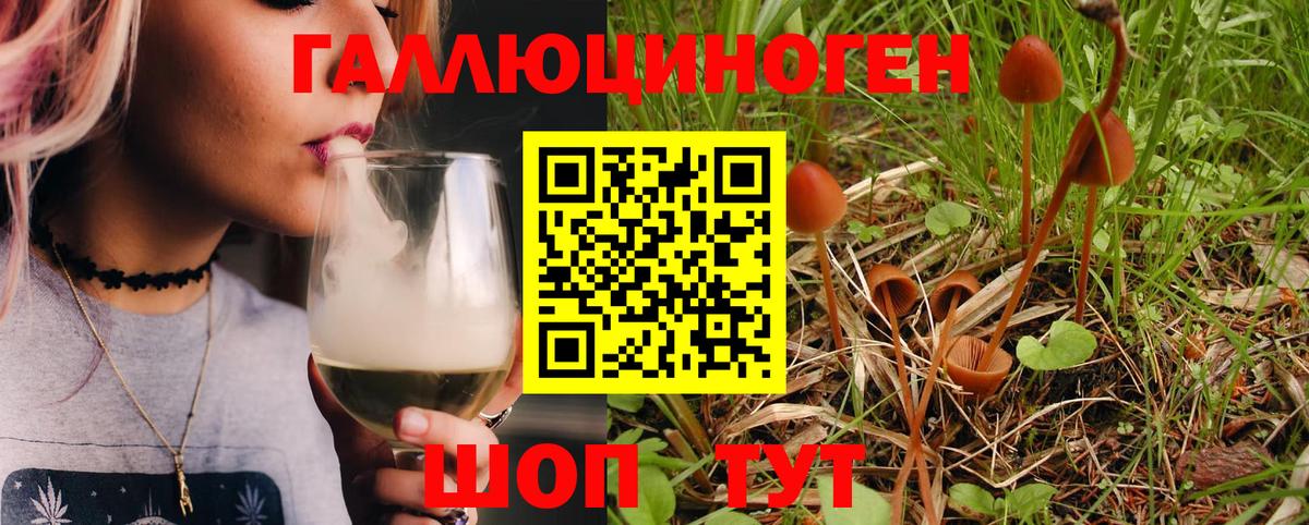 Вичуга  Галлюциногенные грибы Magic Shrooms  Галлюциногенные грибы Cubensis  Вход с VPN 